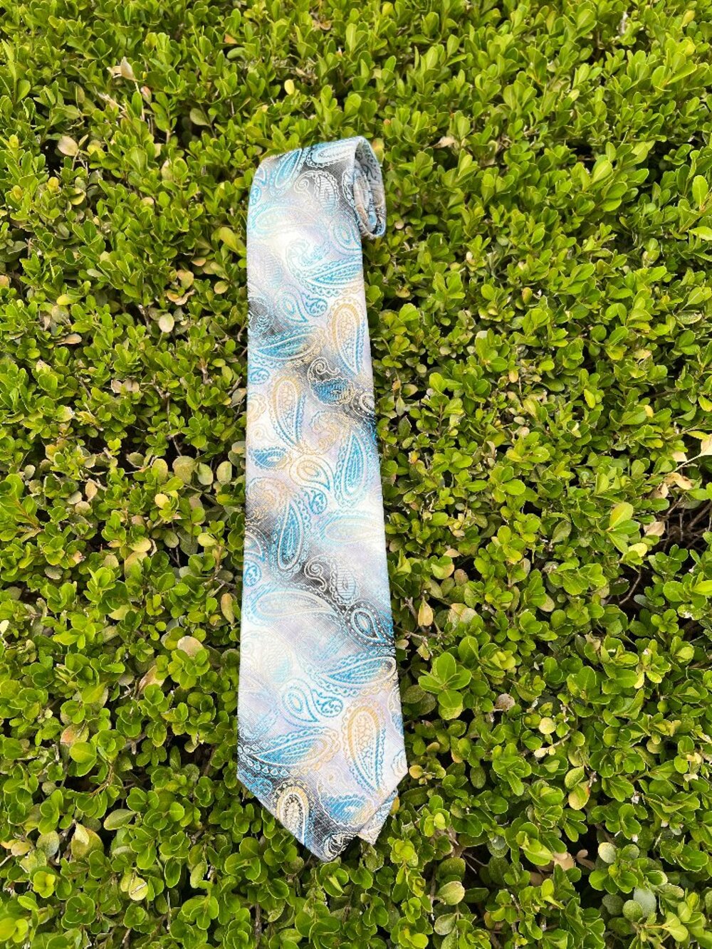 90's Leonardi Italy - Paisley Mens's Necktie - Blue, Silver, Gray